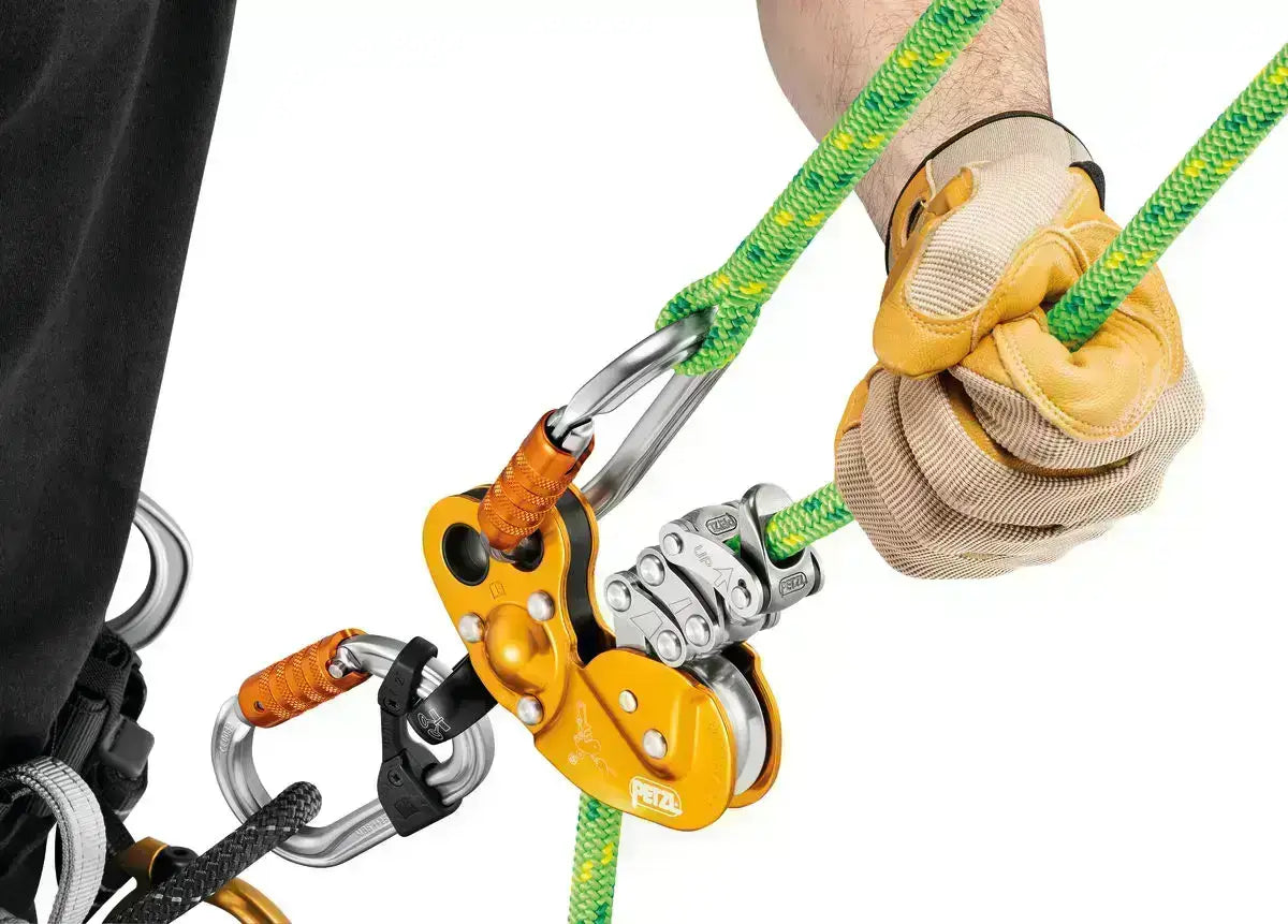 Tree surgeon using a pulley system and ropes for tree climbing and maintenance.