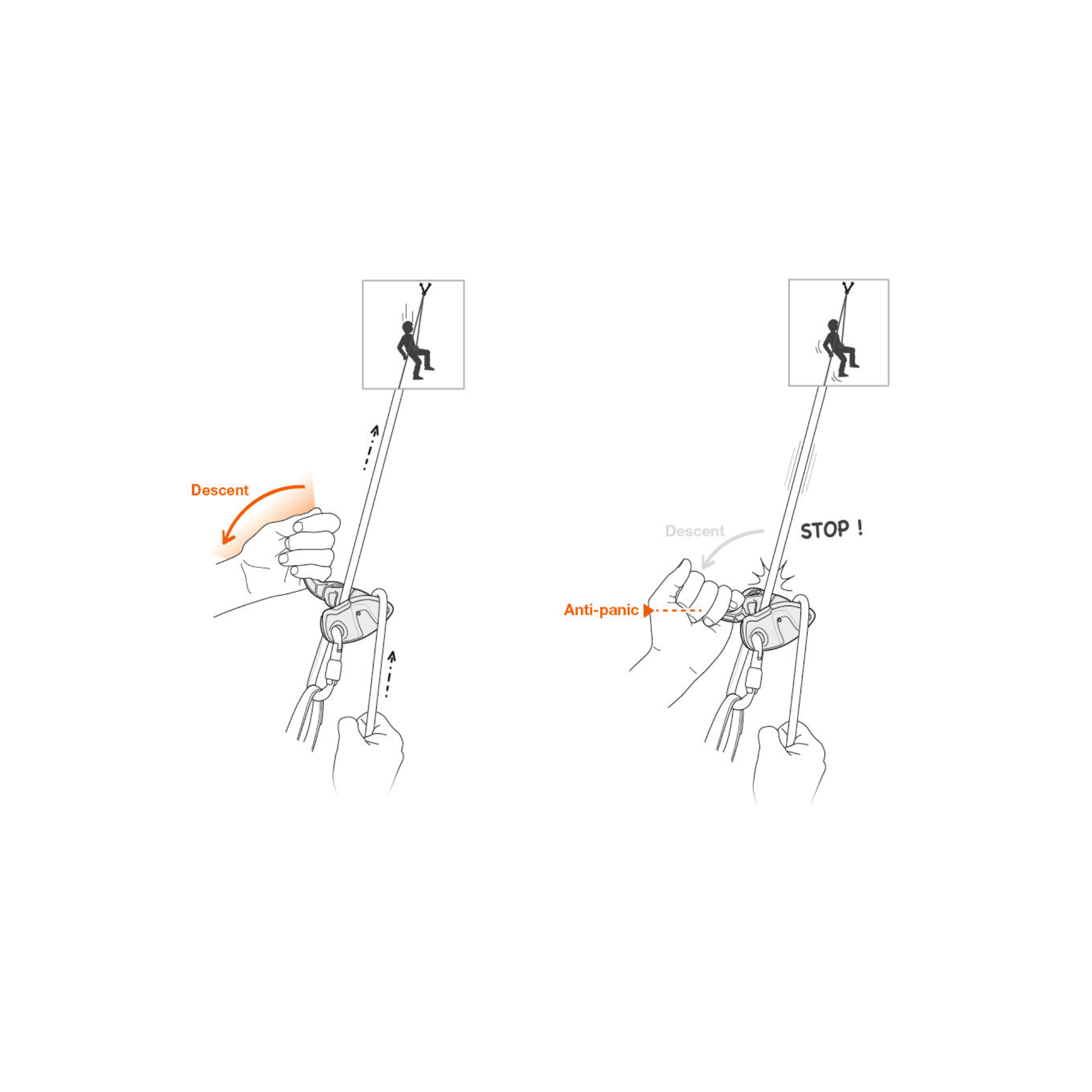 Illustration of PETZL GRIGRI® + belay device showing descent operation and anti-panic feature for safe climbing.