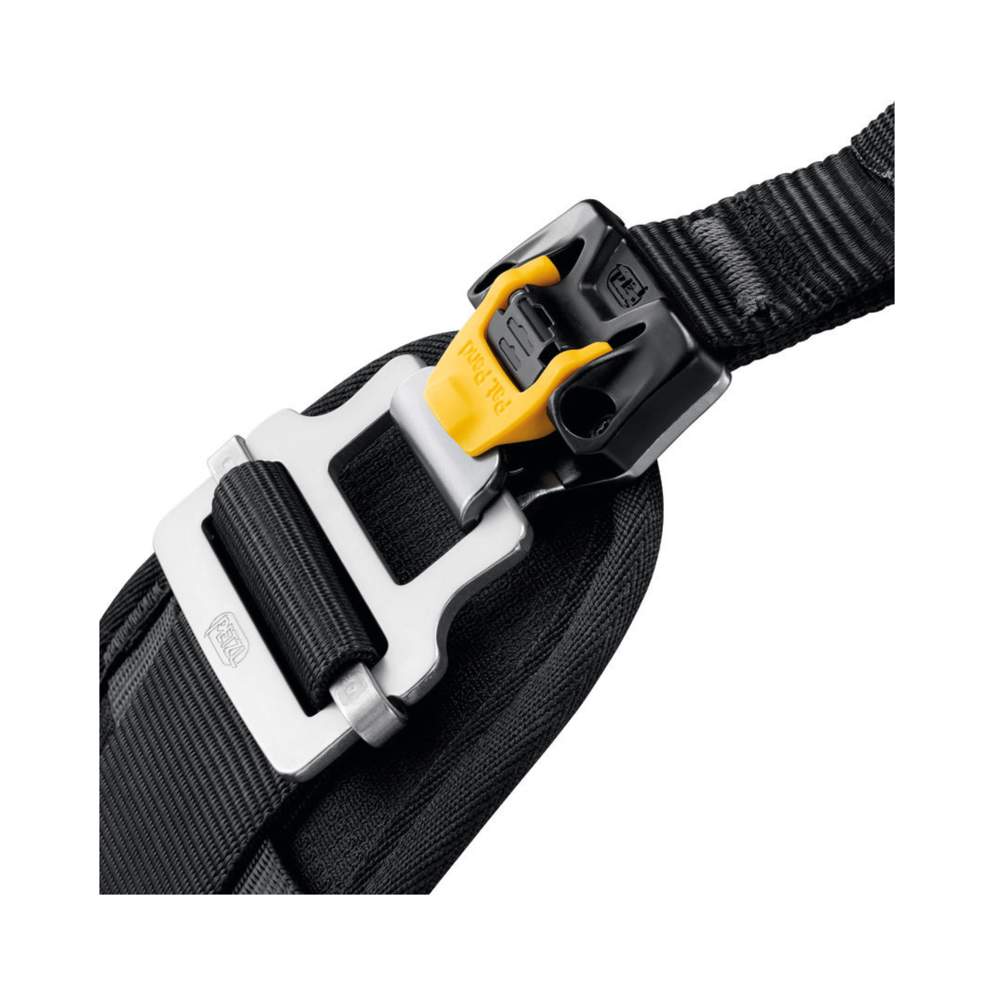 Black belt with a silver and yellow buckle on a white background