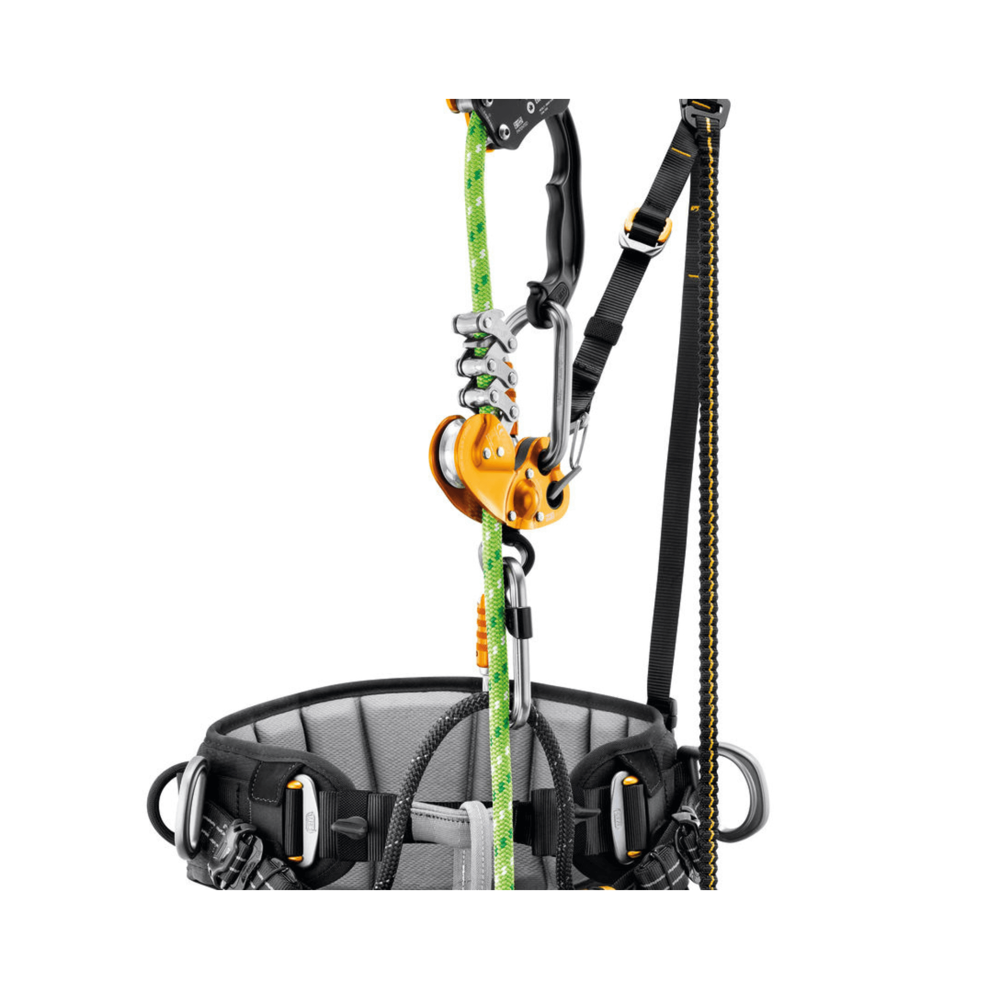Petzl Sequoia SRT climbing harness with carabiners and ropes for tree surgeon use, optimized for single rope ascent.