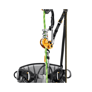 Petzl Sequoia SRT climbing harness with carabiners and ropes for tree surgeon use, optimized for single rope ascent.