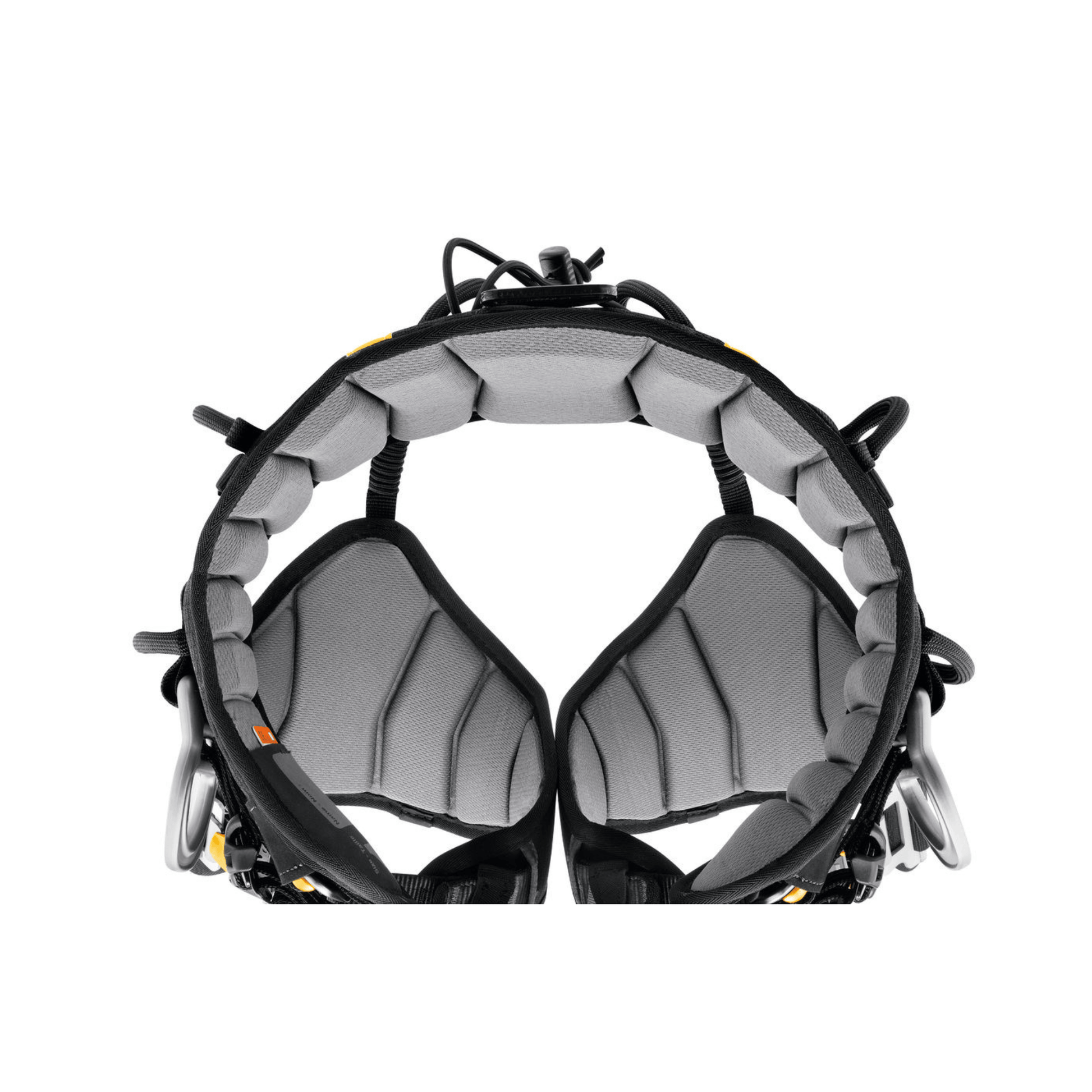 Petzl Sequoia tree climbing harness interior view, showcasing comfort and design for professional tree surgeons.