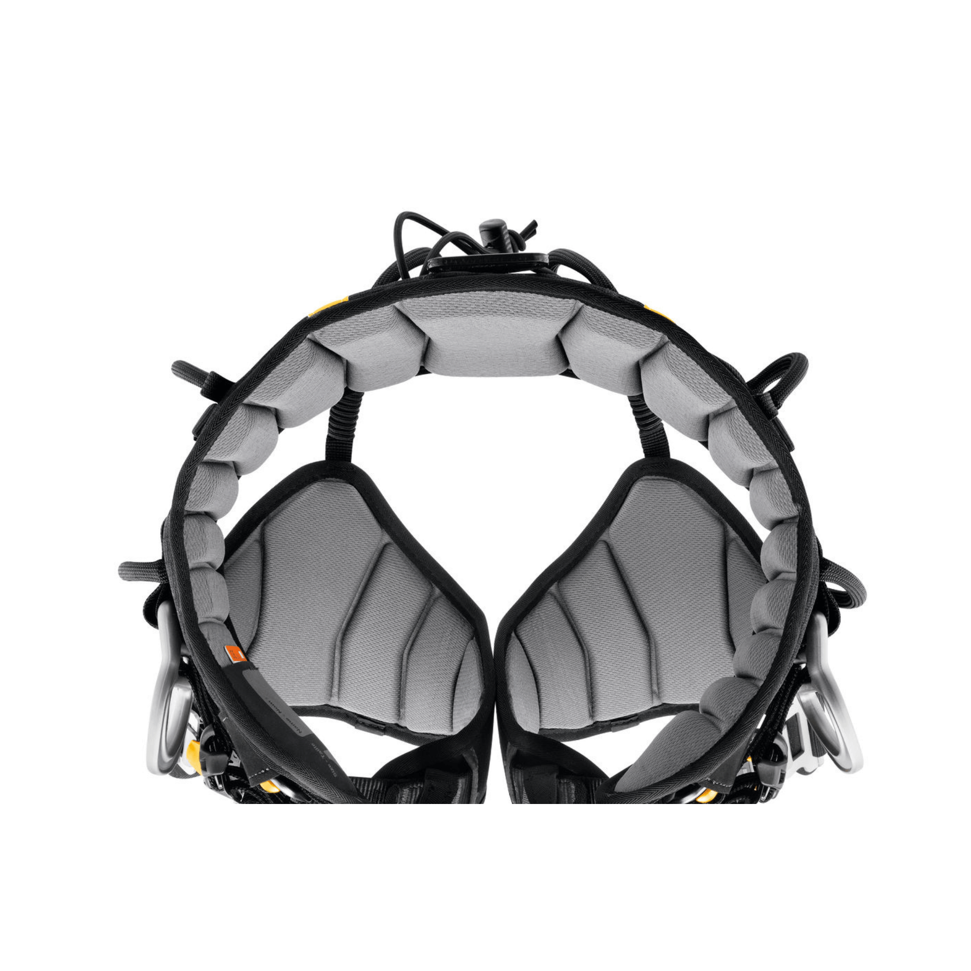 Petzl Sequoia tree climbing harness interior view, showcasing comfort and design for professional tree surgeons.