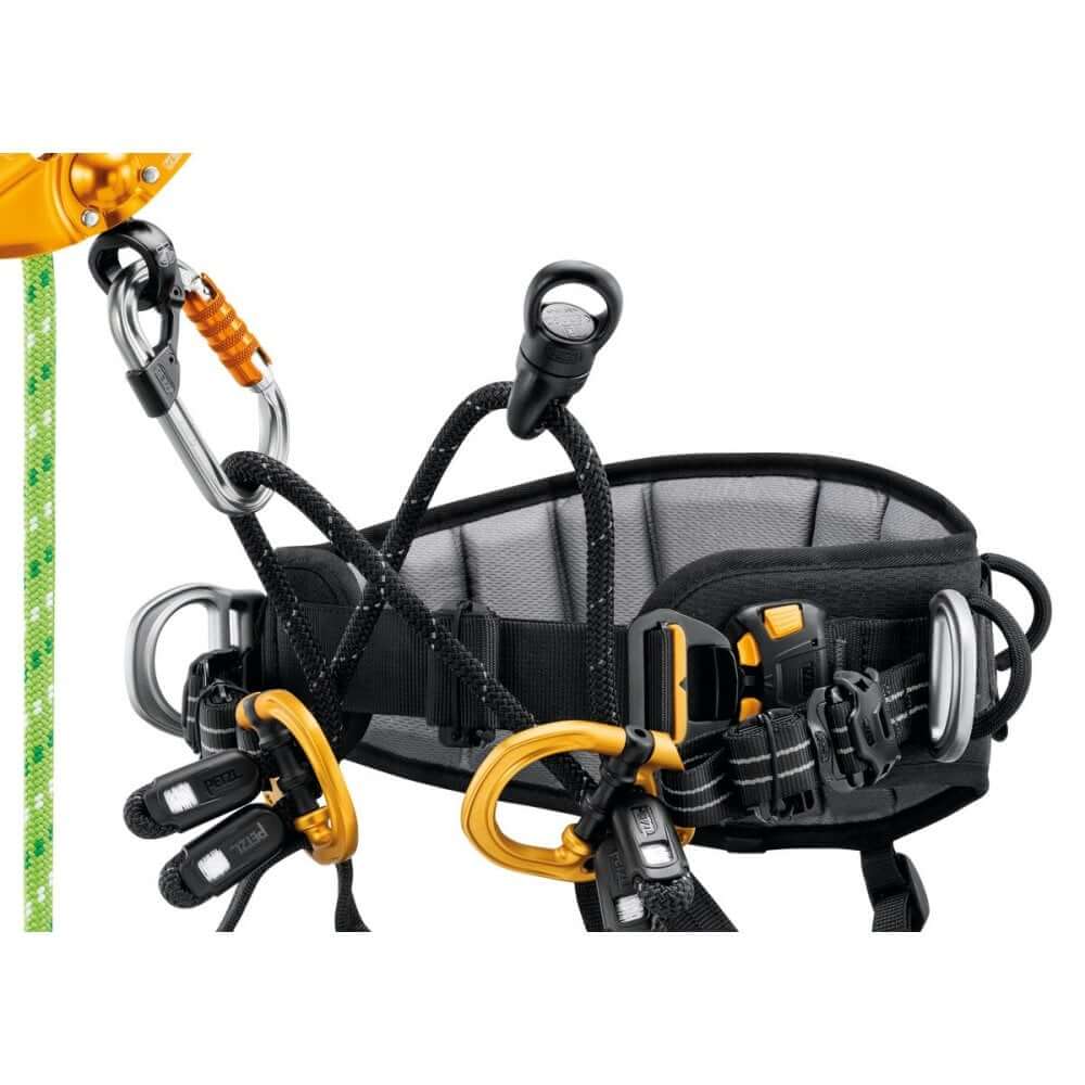 Close-up of PETZL Sequoia tree climbing harness with tool attachments, designed for tree surgeons.