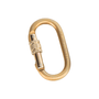 Gold carabiner on a white background