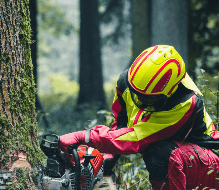 PROTOS Integral Forest helmet