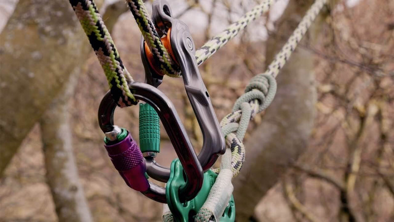 Close-up of climbing carabiners and ropes secured on trees, showcasing outdoor adventure gear in use.