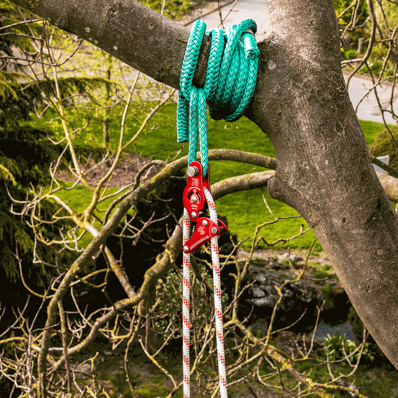 Tree surgeon gear: green rope and pulley system hanging from a tree branch, ready for safe tree maintenance.