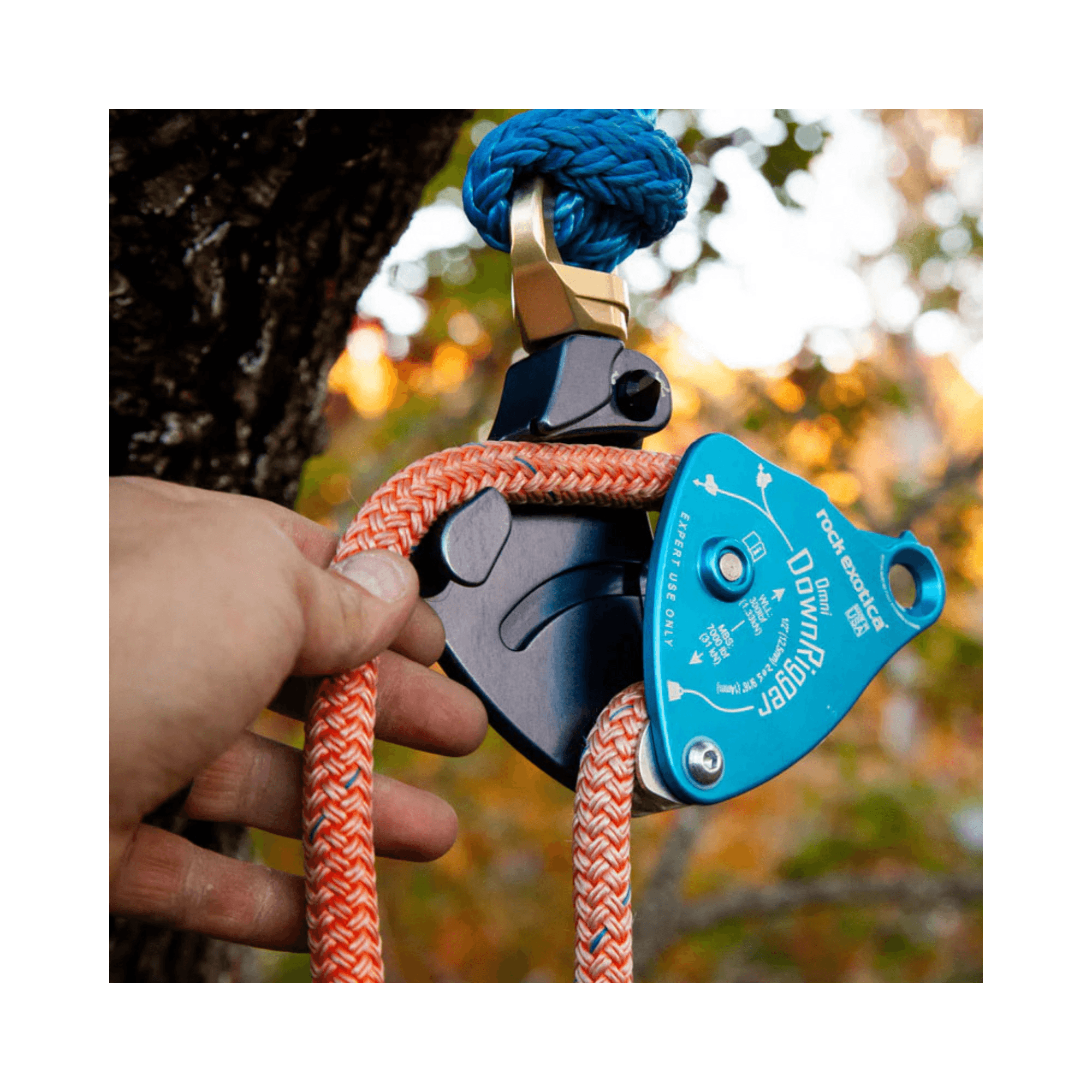 DownRigger Pulley in use, showcasing its design and application in arborist rigging systems.