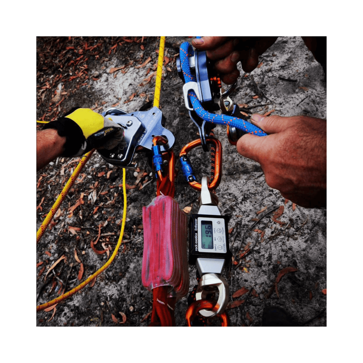 Buy Rock Exotica Enforcer Load Cell | Fast and Free UK Delivery
