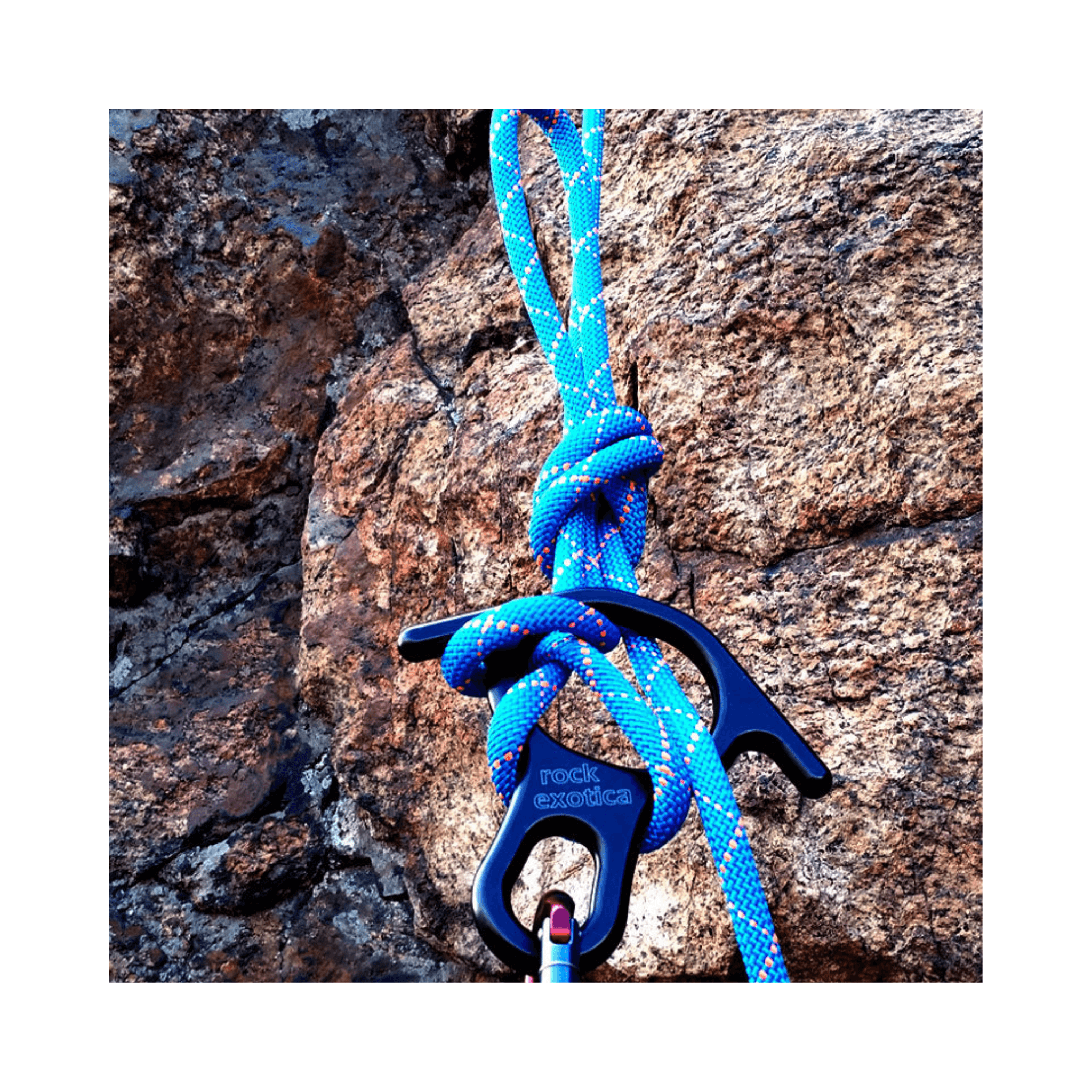 Rock Exotica Rescue Eight Descender with a blue climbing rope secured to a rock surface.