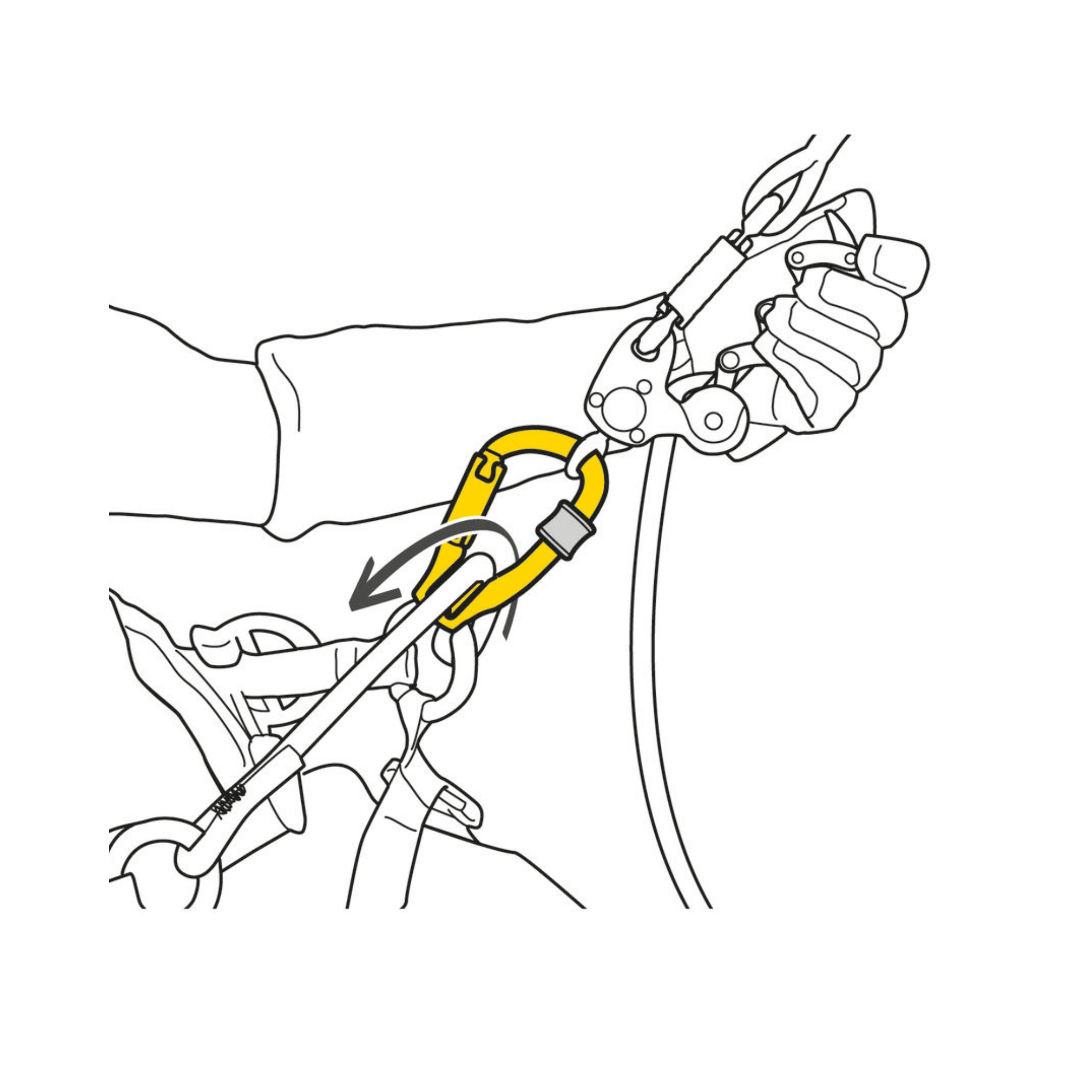 Illustration of a user installing the PETZL ROLLCLIP Z pulley-carabiner, ideal for tree surgeons and rope access professionals.