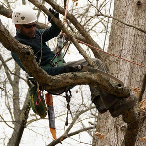 Tree surgeon using a Silky Sugoi hand saw while pruning large branches in a tree.