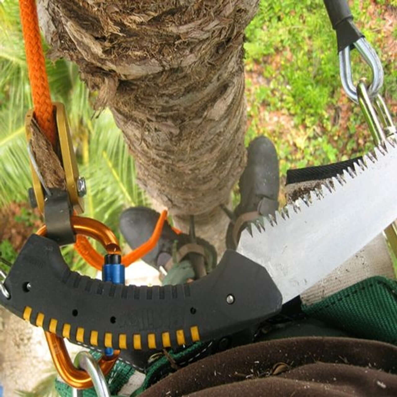 Sugoi Arborist Hand Saw in use, ideal for tree surgeons pruning thick branches from a height.