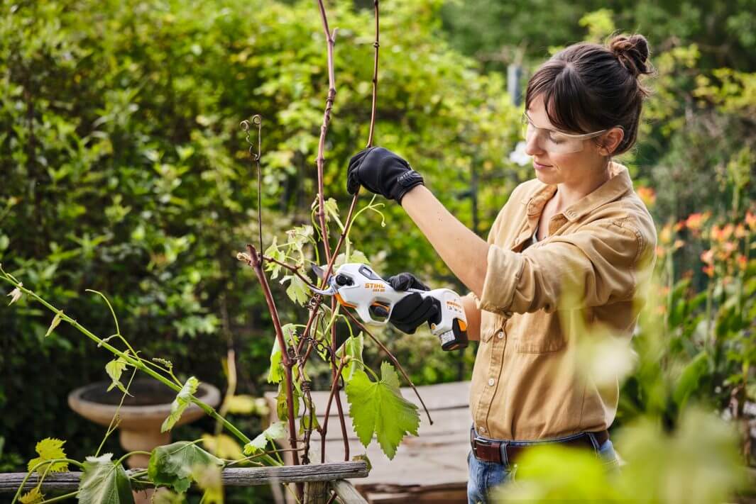 Woman using STIHL ASA 20 Cordless Secateurs for pruning in a lush garden. Ideal for tree surgeons and easy gardening.