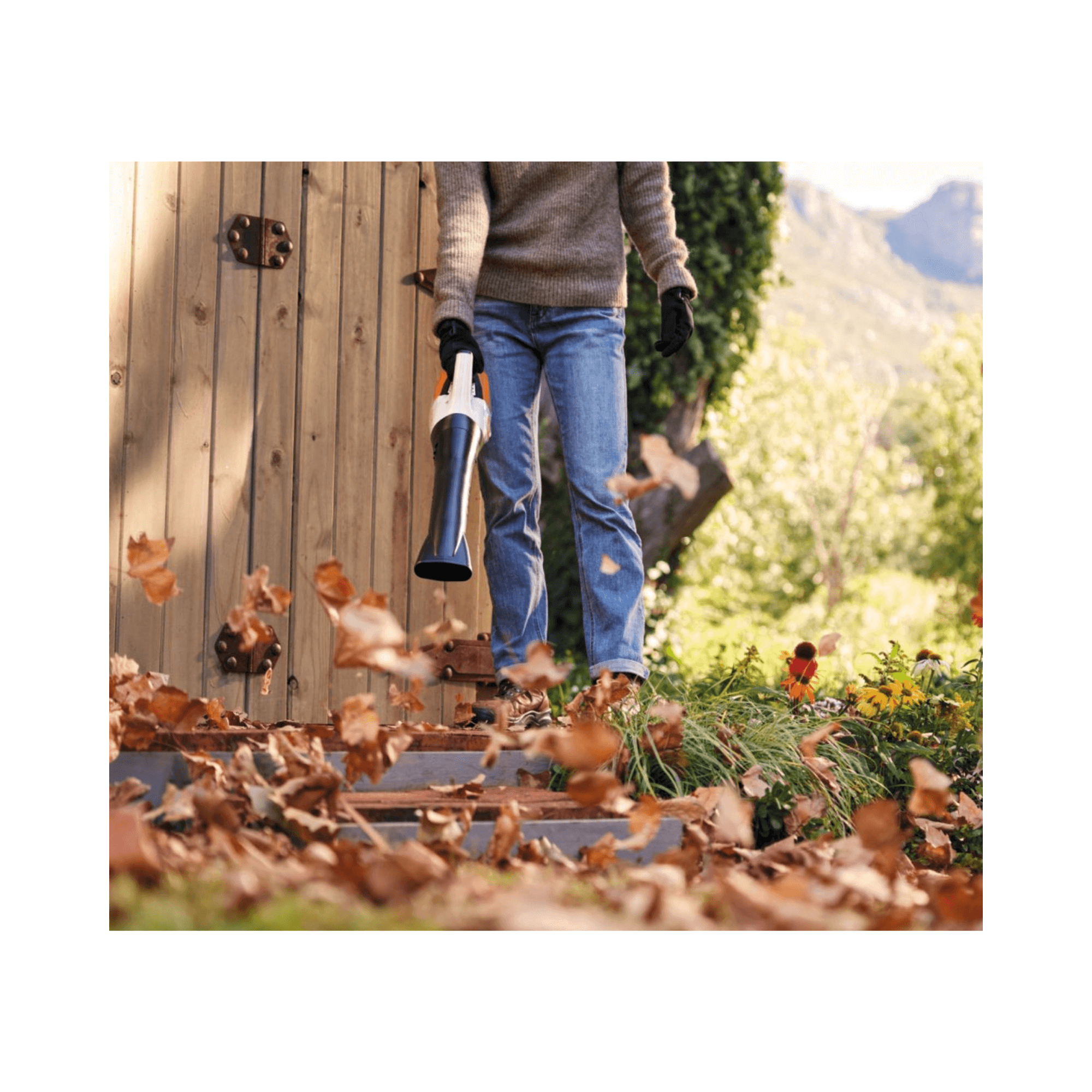 Person using the BGA 30 Cordless Leaf Blower to clear leaves from a garden path.