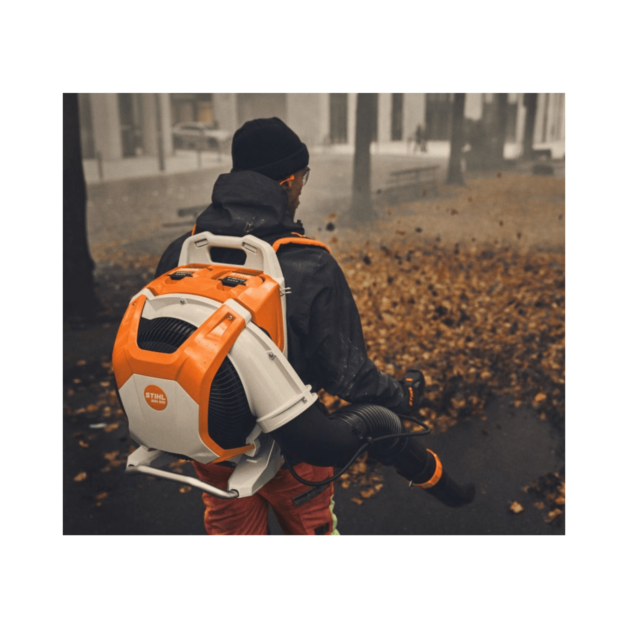 Person using the STIHL BRA 600 Cordless Backpack Leaf Blower to clear leaves in a park.