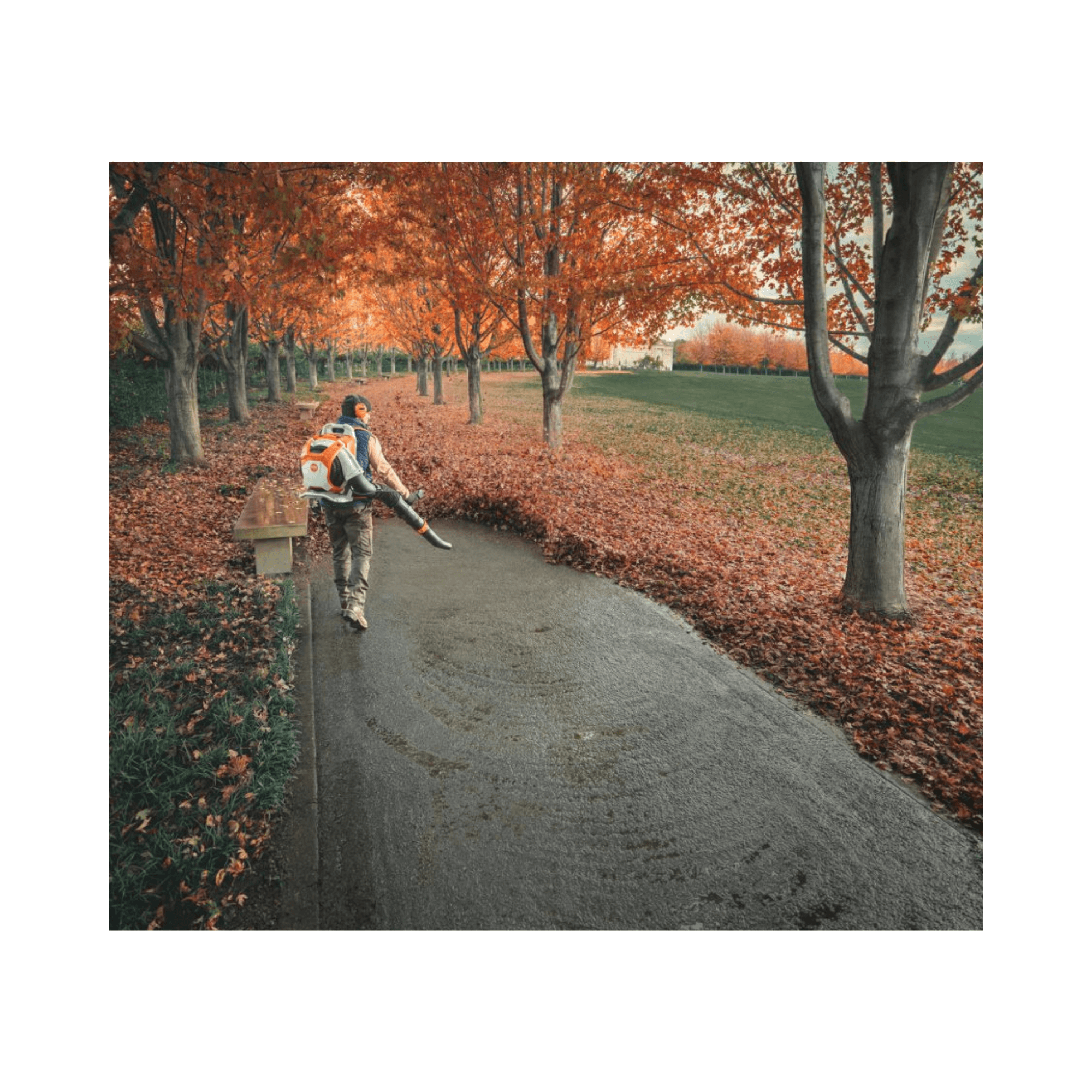 Person using the BRA 600 Cordless Backpack Leaf Blower to clear leaves from a path in a park.