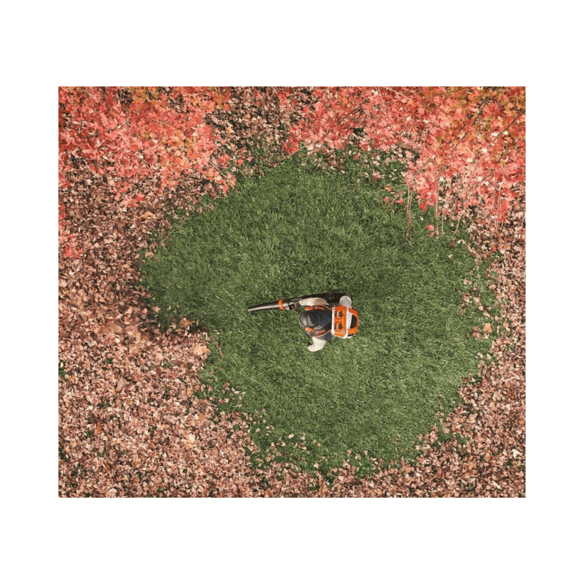 Person using the BRA 600 Cordless Backpack Leaf Blower to clear leaves from a lawn.