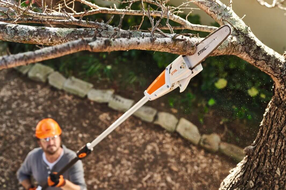 STIHL HTA 50 Cordless Pole Pruner in action, allowing tree surgeon to safely trim high branches.
