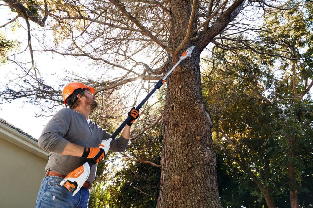 Tree surgeon using STIHL HTA 50 cordless pruner saw to trim branches from a tall tree safely and efficiently.