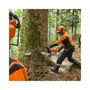 Two workers in orange and black safety gear cutting a tree with chainsaws in a forest.
