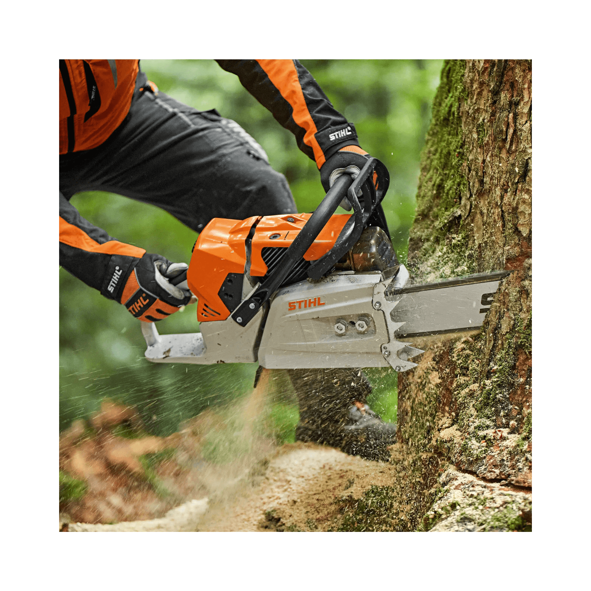 STIHL MS 881 petrol chainsaw in action, perfect for tree surgeons and heavy-duty forestry tasks.