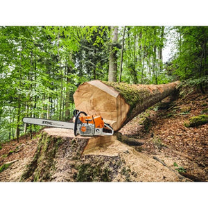STIHL MS 881 Petrol Chainsaw on a felled tree, showcasing powerful performance for tree surgeons in forestry work.