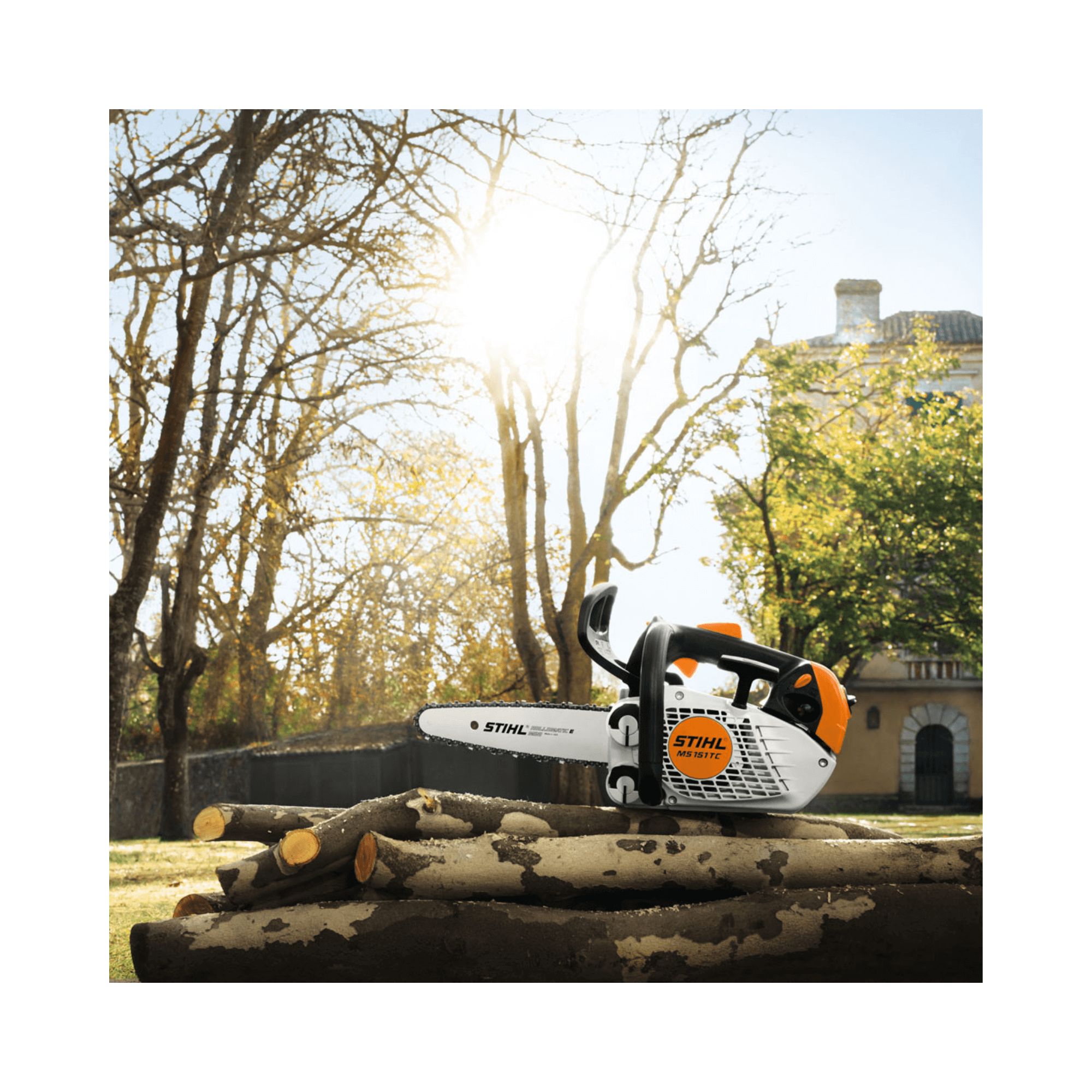 STIHL MS 151 TC-E petrol chainsaw on logs outdoors, ideal for tree surgeons and arborists.