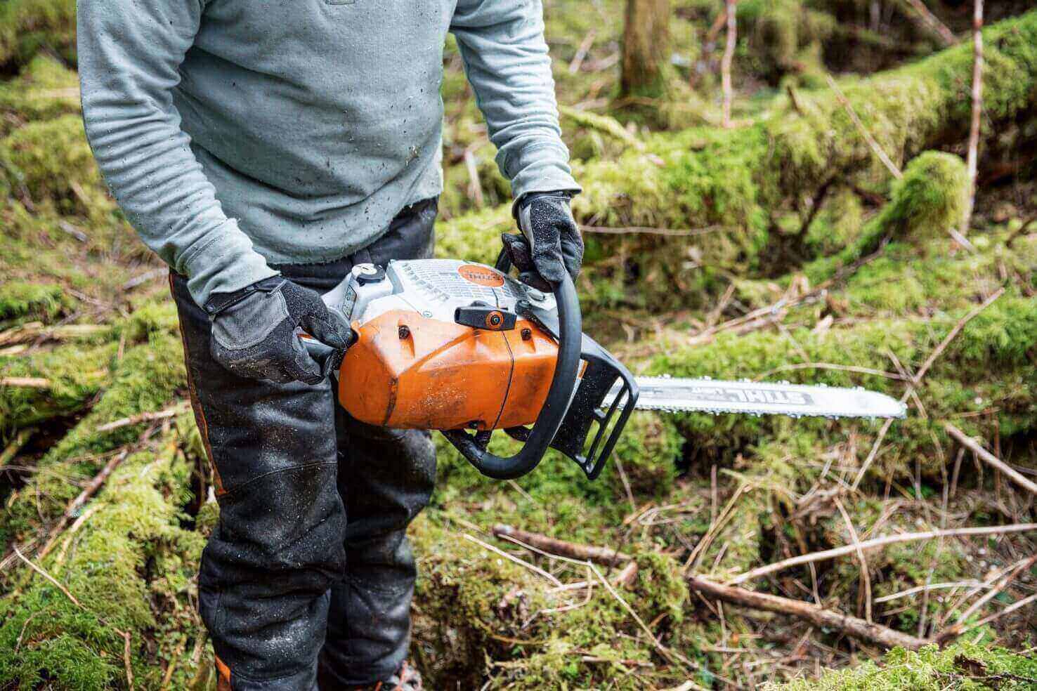 Person holding a chainsaw in a mossy forest, ready for tree cutting and forestry work.