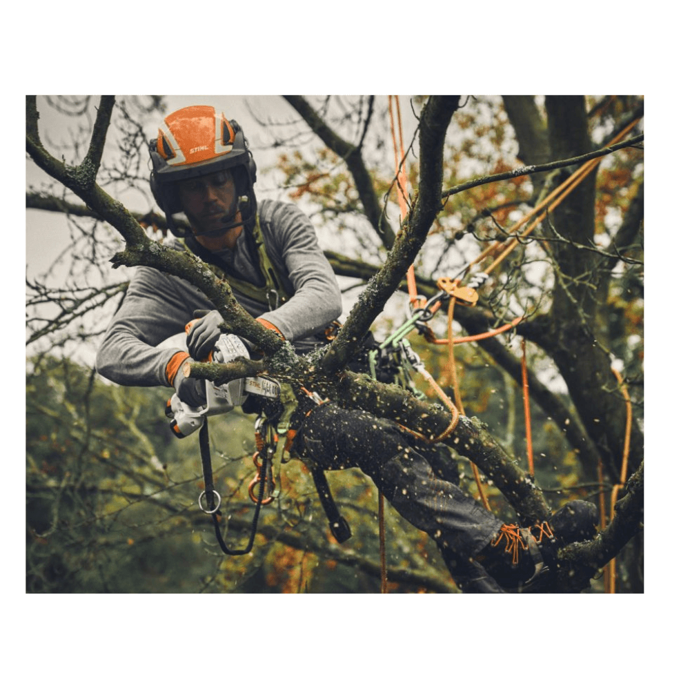 Tree surgeon using a STIHL GTA 40 cordless pruner to trim branches while securely harnessed in a tree.
