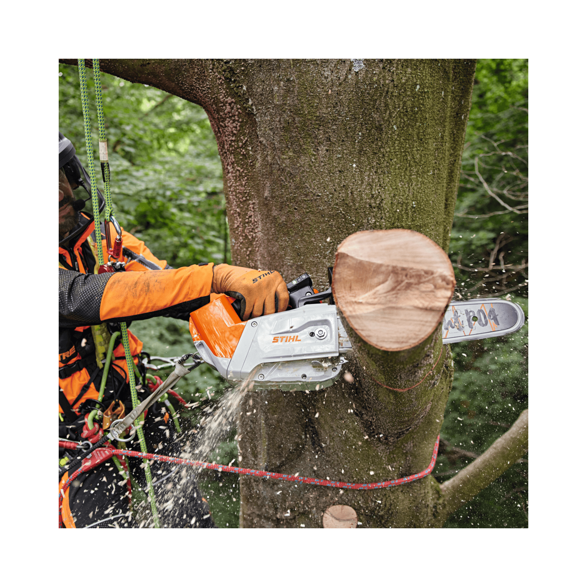 Tree surgeon using the STIHL MSA 220 T top-handles chainsaw for precise cutting on a tree.
