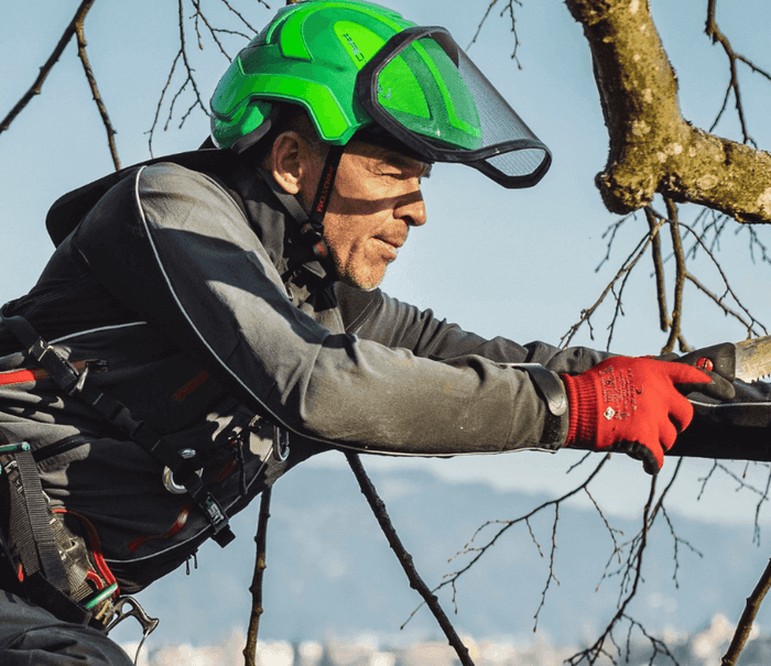 PROTOS Integral Arborist helmet