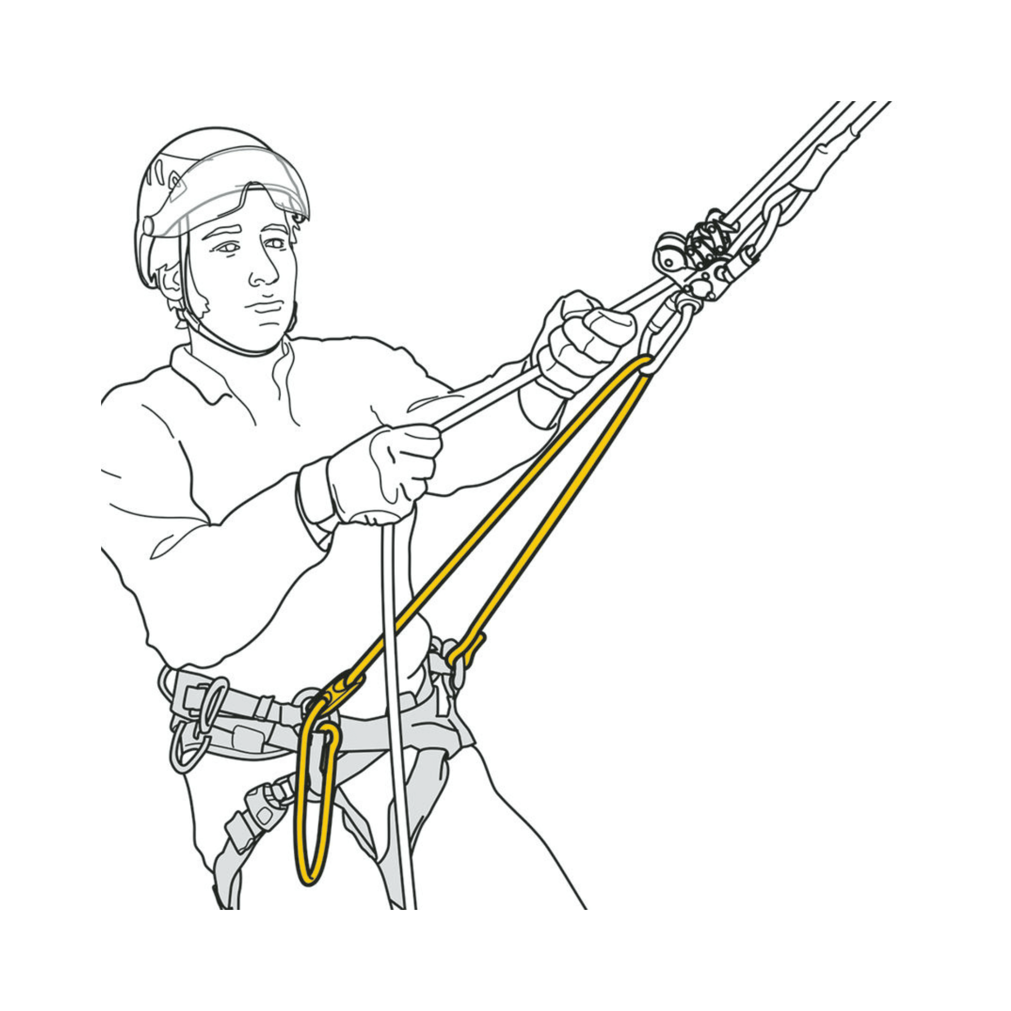 Tree surgeon using PETZL Adjustable Attachment Bridge for tree climbing with precision control.