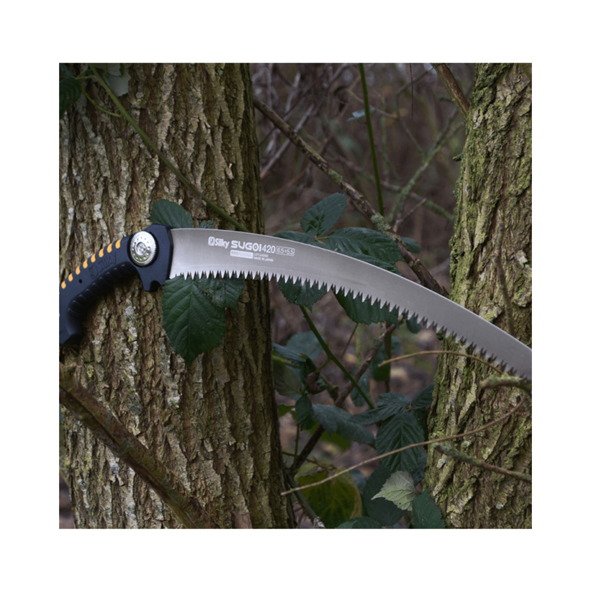 Sugoi Arborist Hand Saw resting against trees, showcasing its curved blade and ergonomic handle.