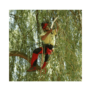 Professional using Sugoi Arborist Hand Saw to trim branches from a tree