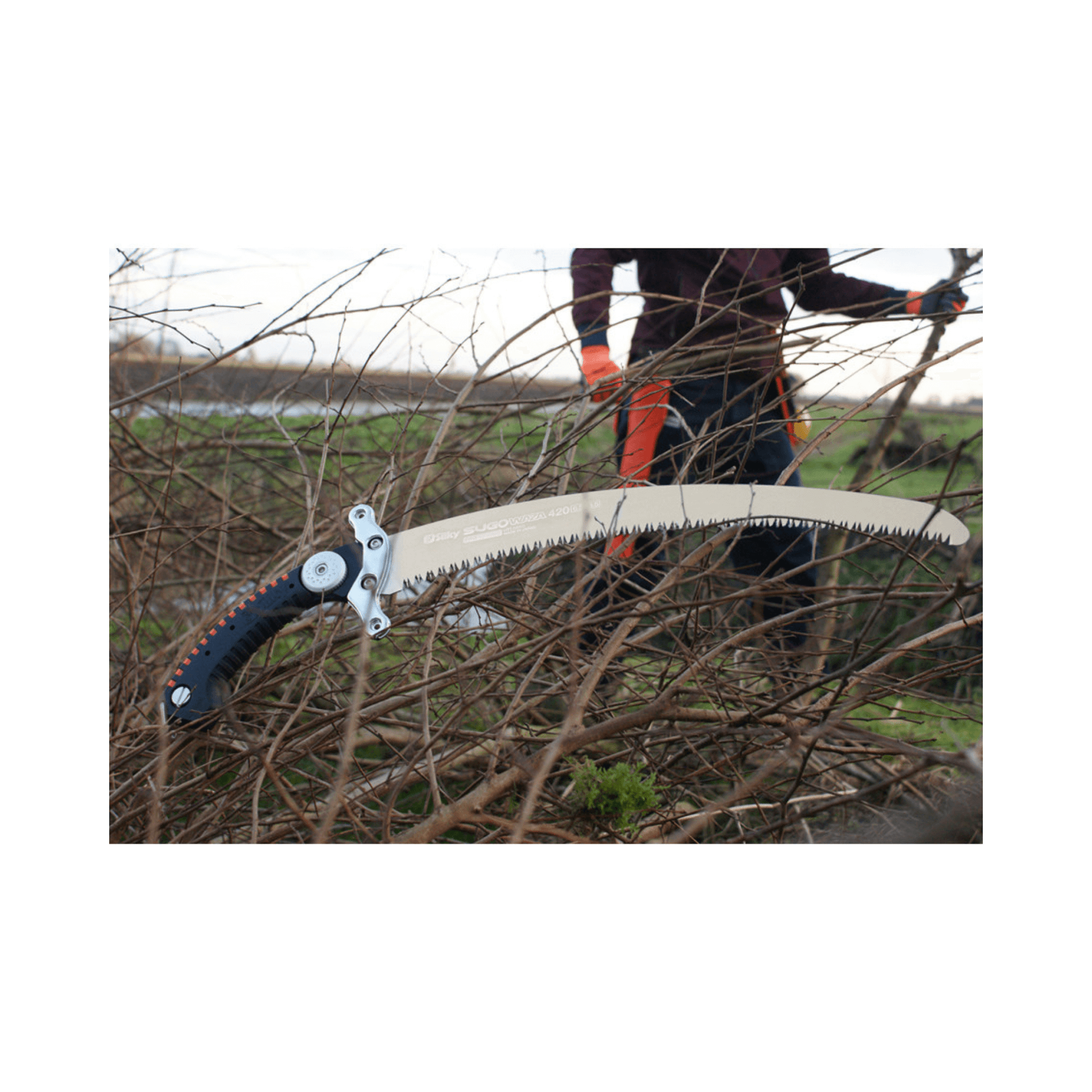 Sugowaza Linemans Hand Saw 420mm resting on branches, ideal for tree surgeons and line-clearance workers.