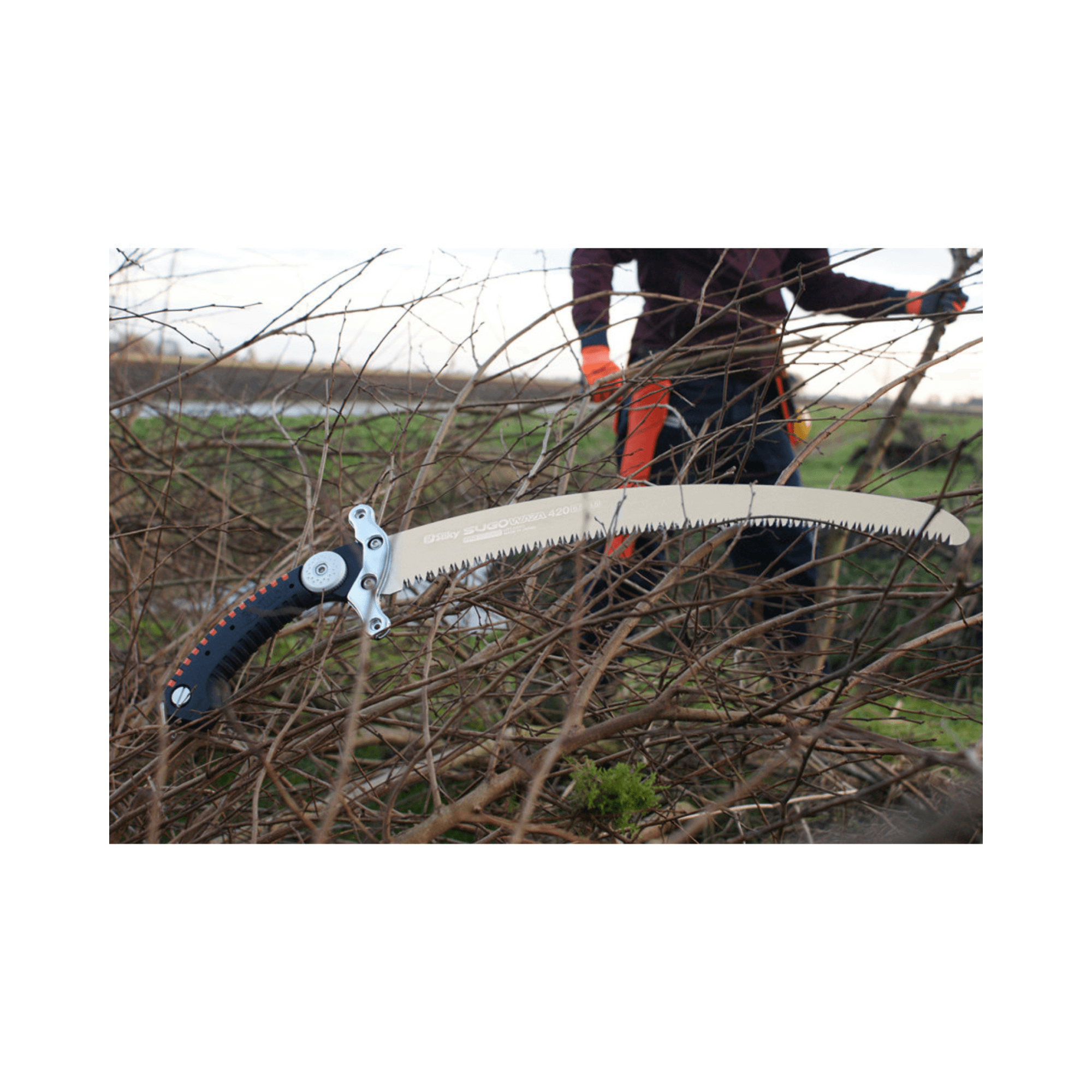 Sugowaza Linemans Hand Saw 420mm resting on branches, ideal for tree surgeons and line-clearance workers.