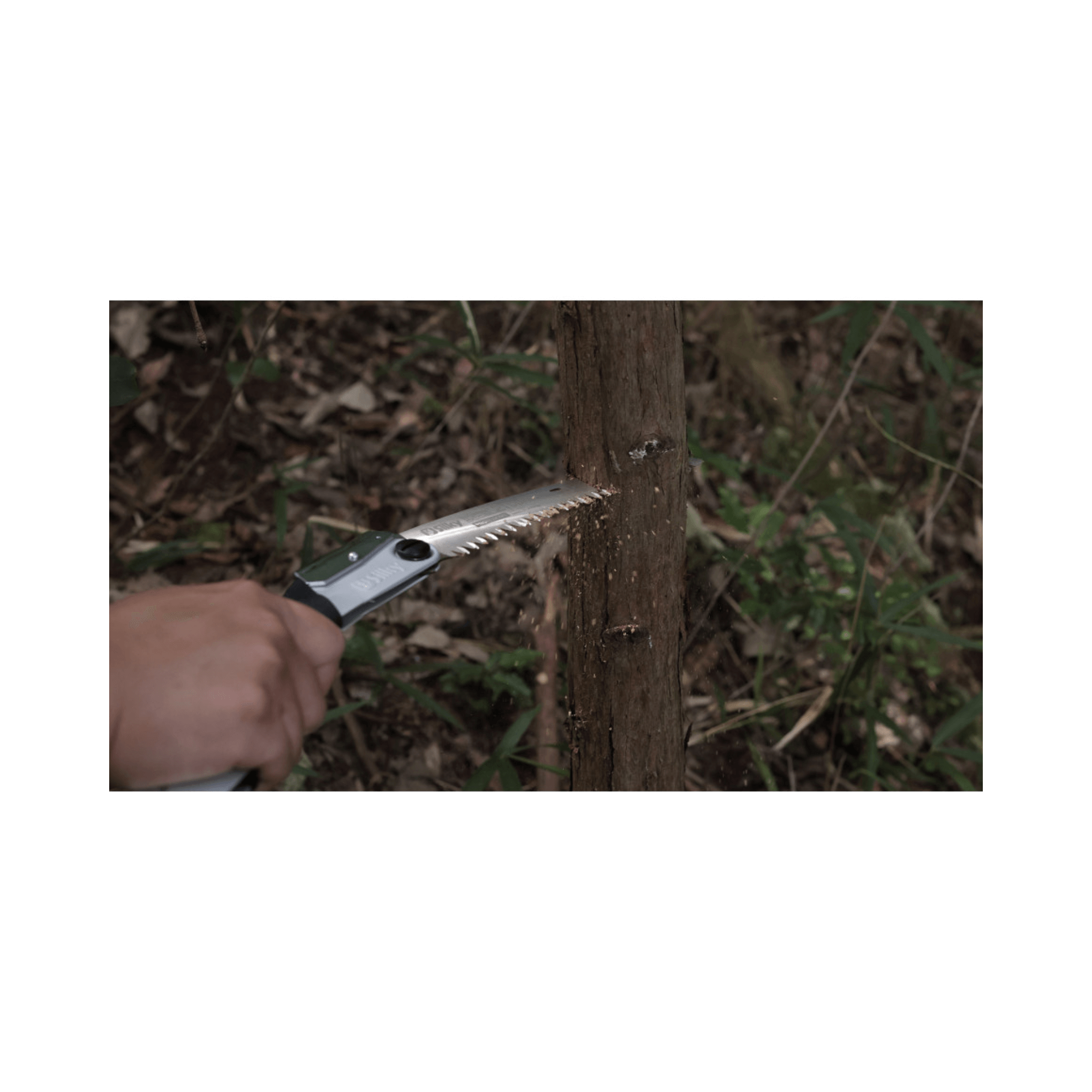 Using the Super Accel Curve Folding Pruning Saw 210mm for effective tree trimming in a garden.