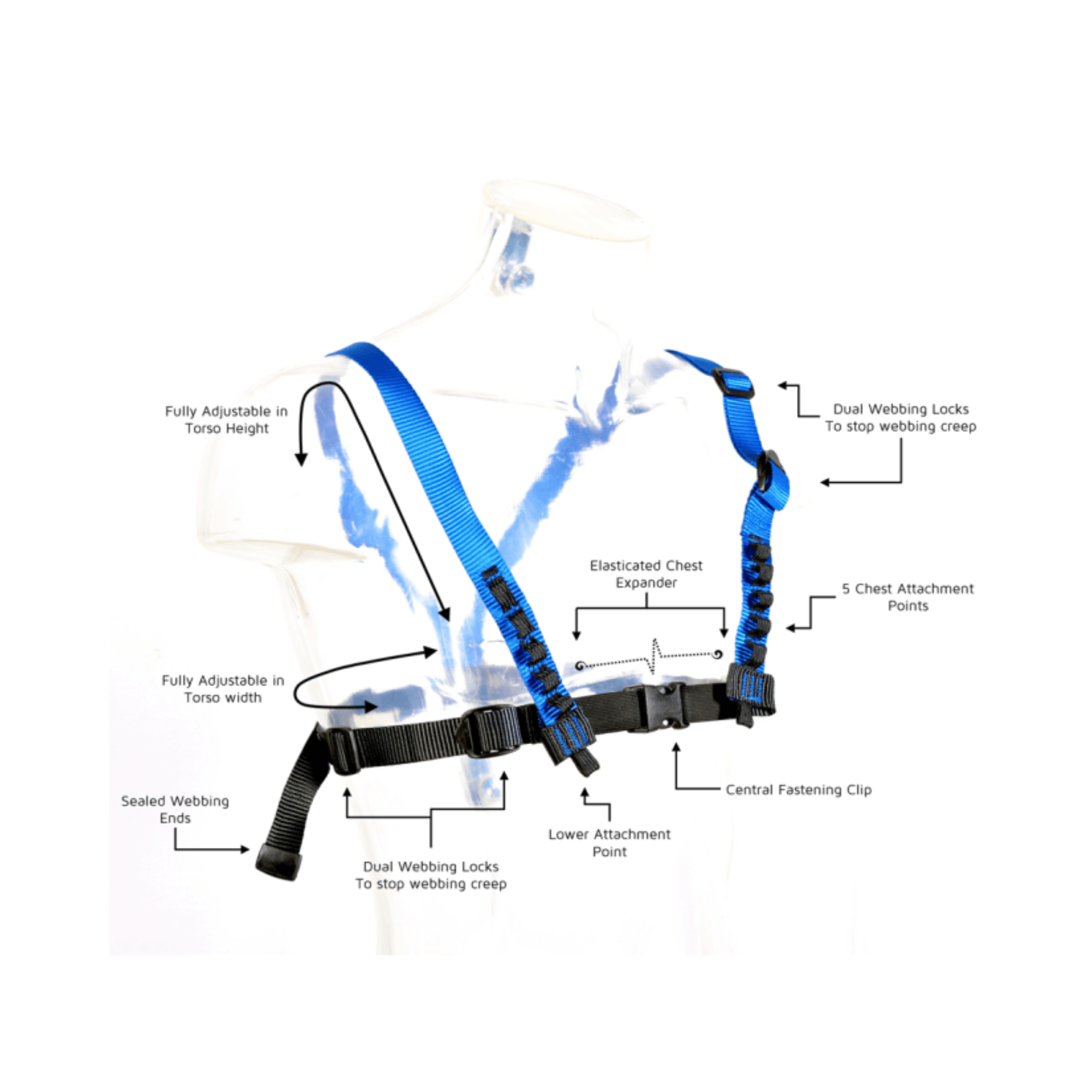 CAMBO V5 Chest Harness features adjustable straps and multiple attachment points for tree surgeons.
