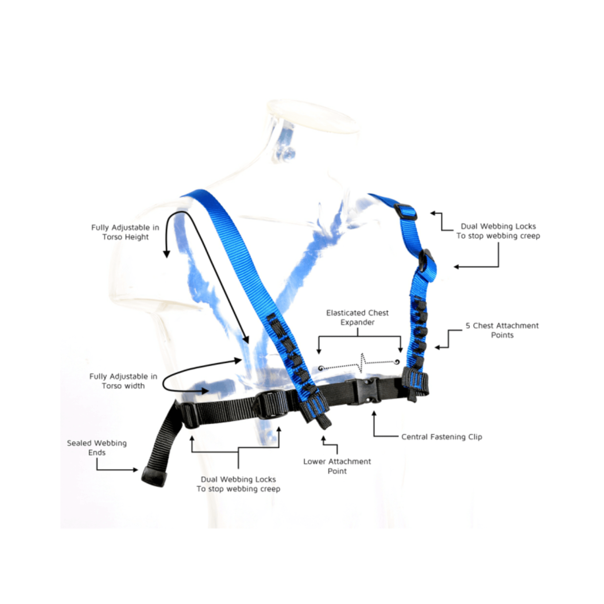 CAMBO V5 Chest Harness features adjustable straps and multiple attachment points for tree surgeons.