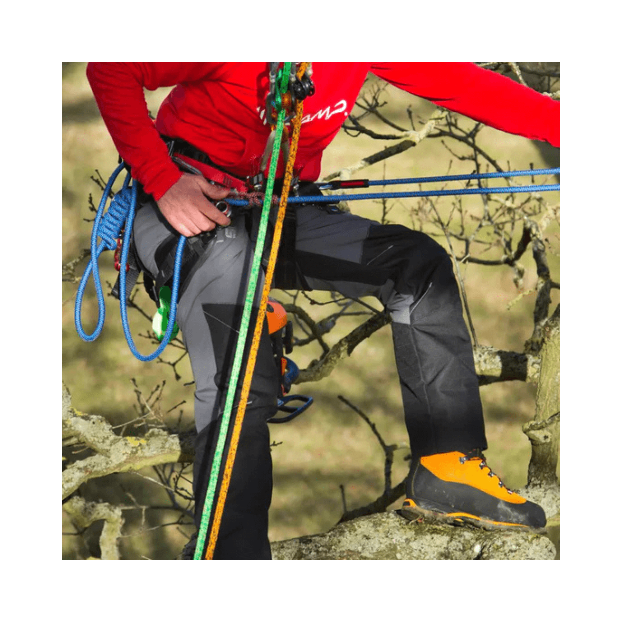 User wearing Sentinel Chainsaw Trousers Type A while climbing a tree, showcasing flexibility and durability.
