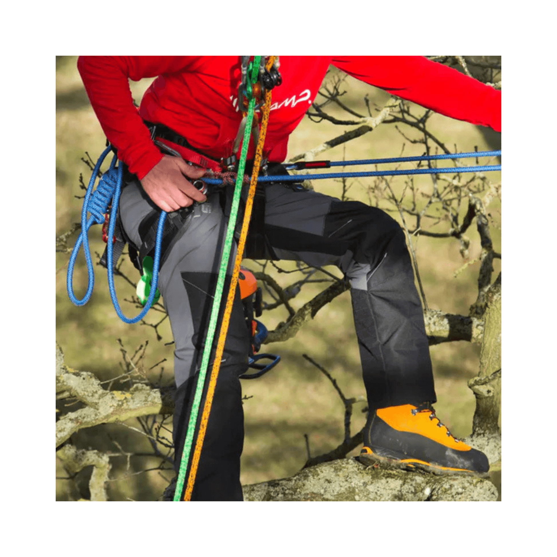 User wearing Sentinel Chainsaw Trousers Type A while climbing a tree, showcasing flexibility and durability.