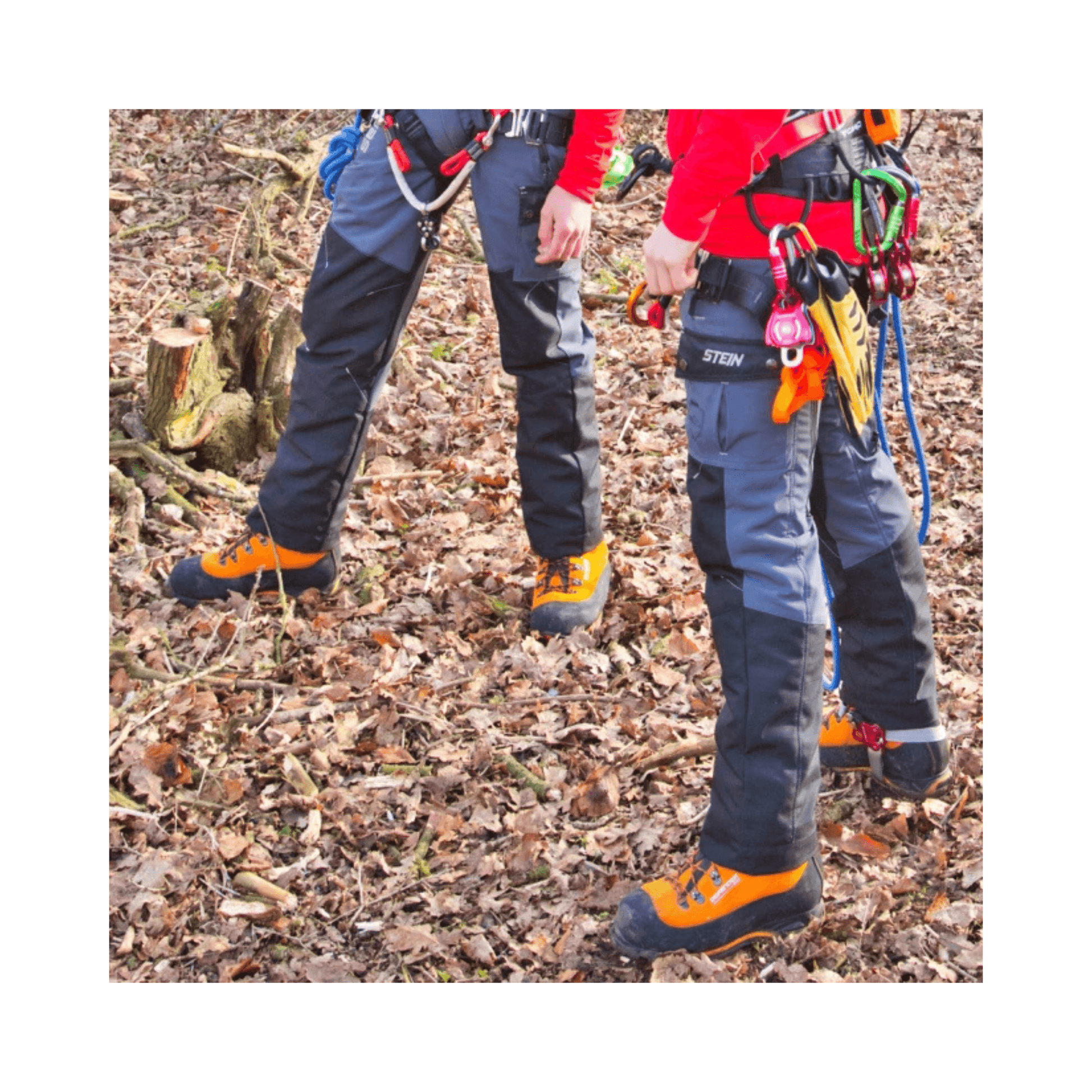 Two tree surgeons wearing Sentinel Chainsaw Trousers Type C in a forest setting, demonstrating safety and flexibility.