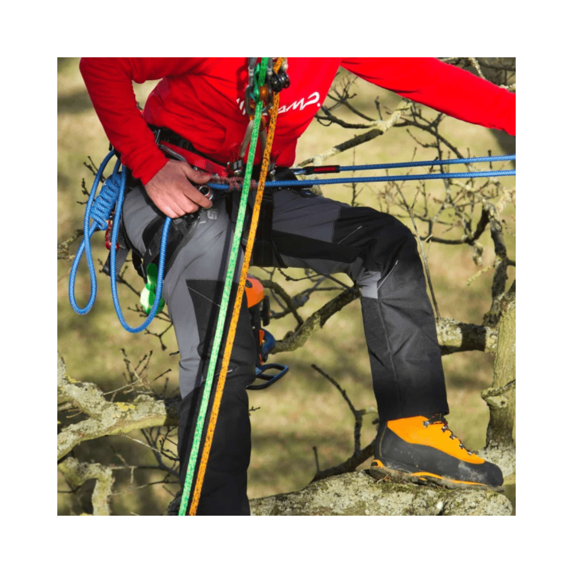Man wearing Sentinel Chainsaw Trousers Type C, climbing in a tree with ropes and equipment.