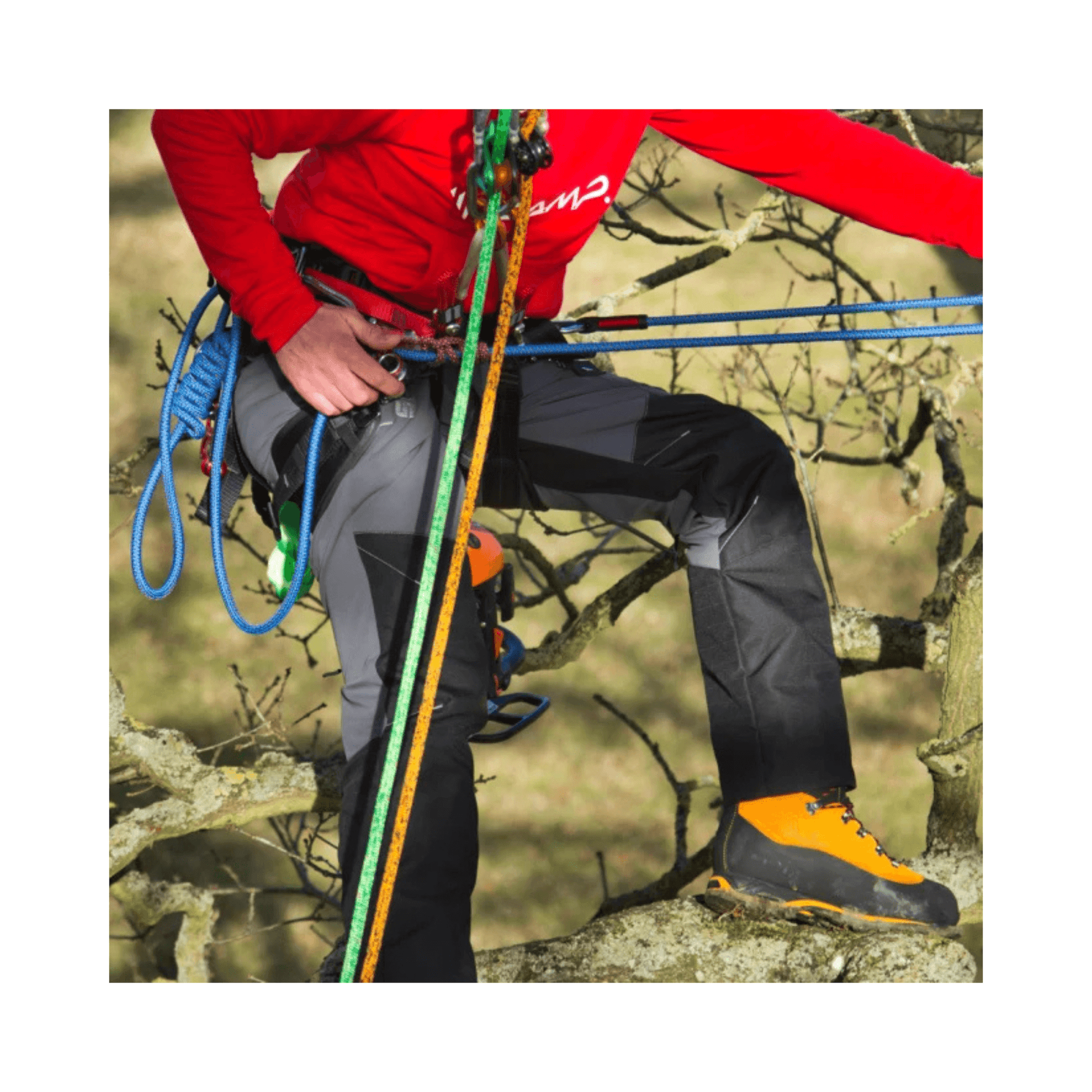 Man wearing Sentinel Chainsaw Trousers Type C, climbing in a tree with ropes and equipment.
