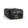 AP 200 P Battery ALLPRO