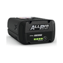 STIHL ALLPRO AP 300 P 40V professional battery, front view showing tabless cell design.