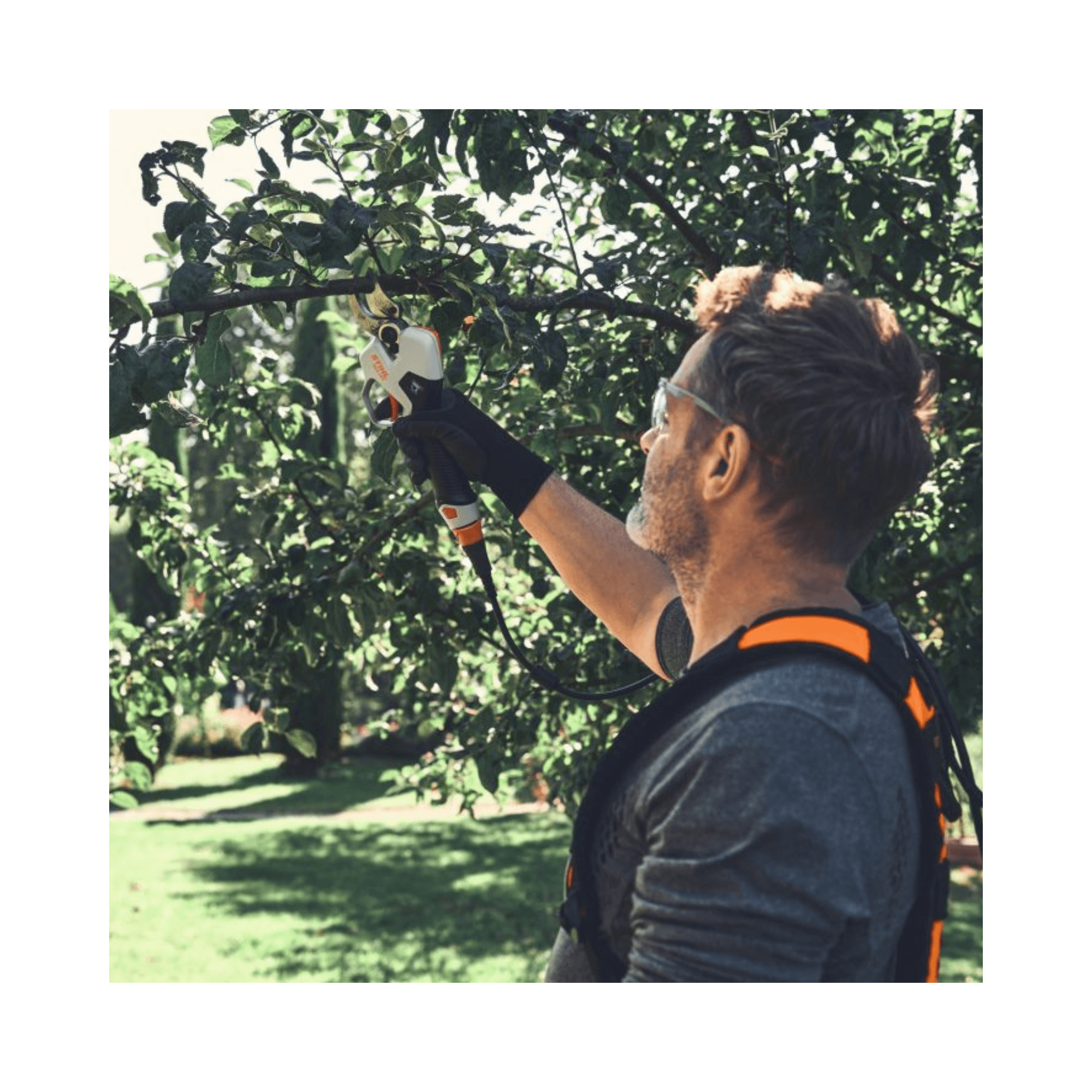 Man using ASA 140 Cordless Secateurs for tree trimming, ideal for tree surgeons and arborists.