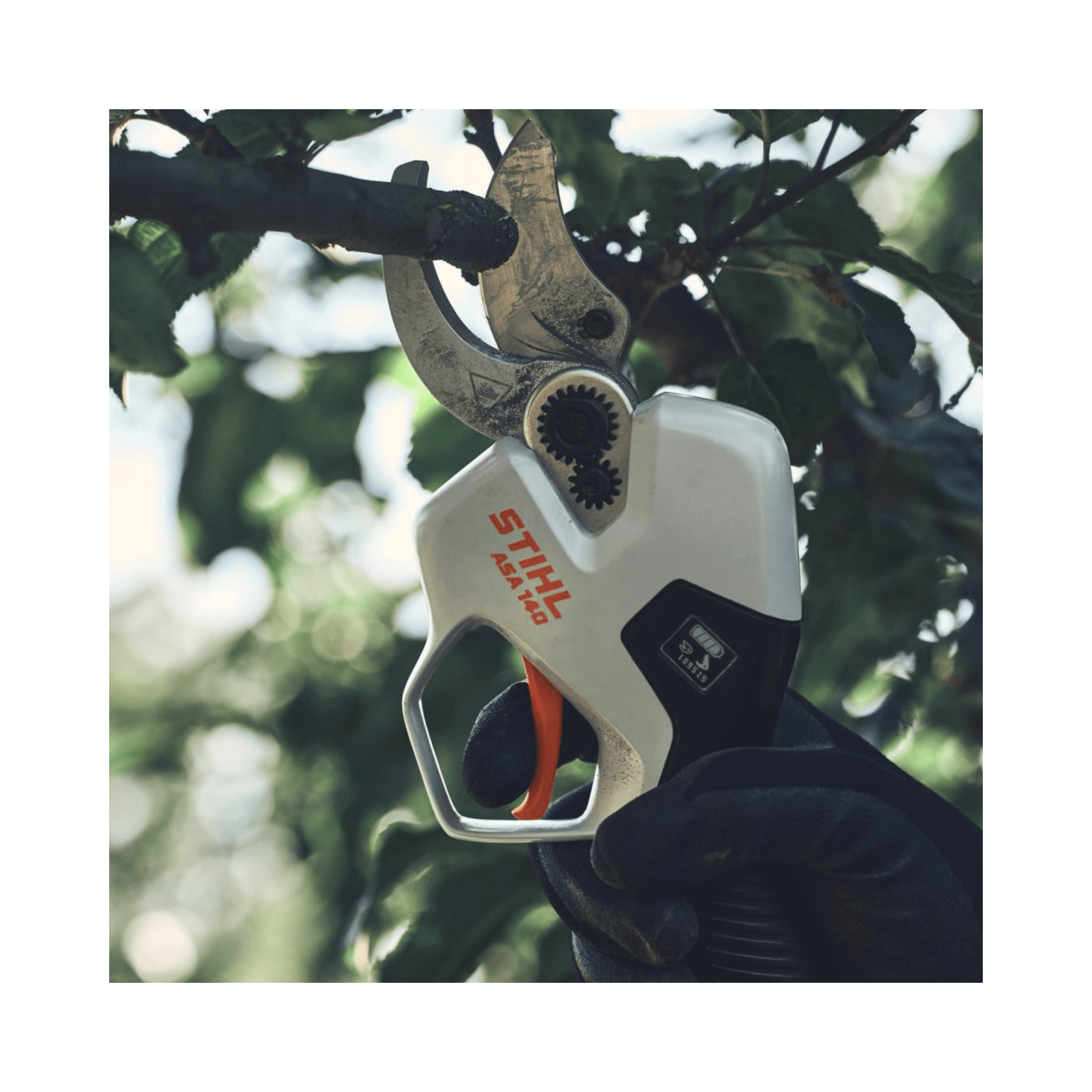 Close-up of ASA 140 Cordless Secateurs in use by a tree surgeon, perfect for arborists.